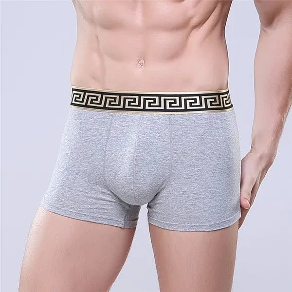 4pcs/lot high quality 11 colors sexy cotton men boxers breathable mens underwear branded boxers logo underwear male boxer